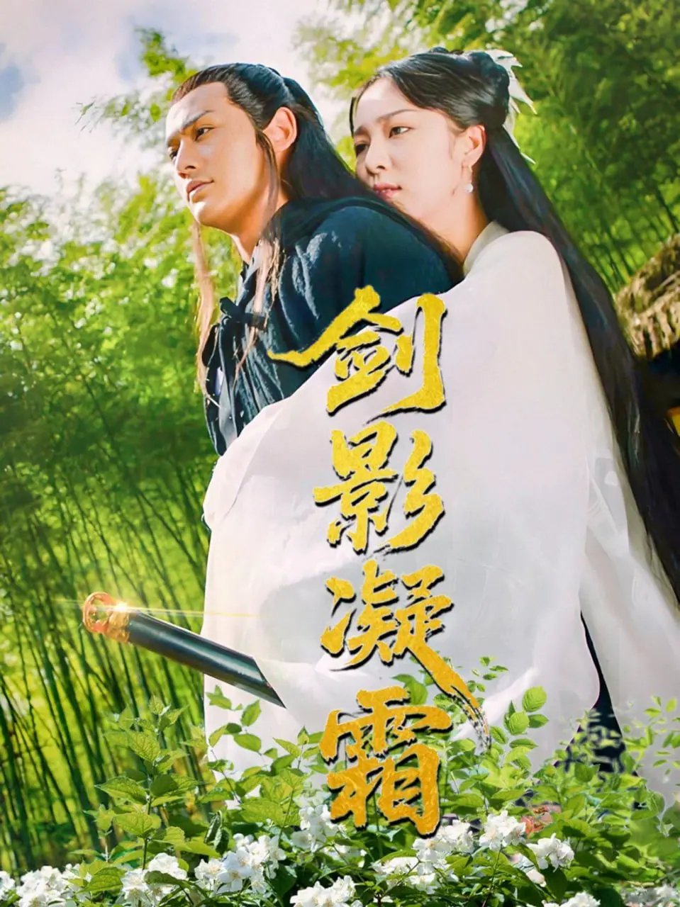 《剑影凝霜》:武侠传奇中的冰霜剑影与情感较量